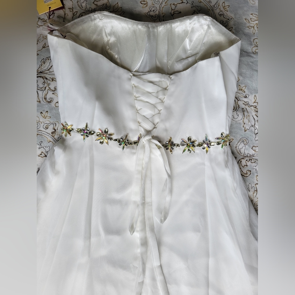 NWT Size 6 Ivory Wedding dress. Chiffon shawl and straps included. - Picture 4 of 8
